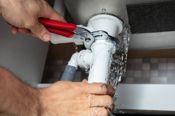 Best Professional water damage repair  in Roseburg, OR