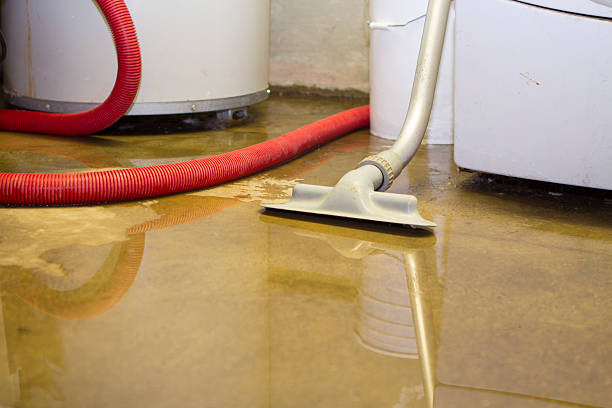 Best Water damage contractors near me  in Roseburg, OR